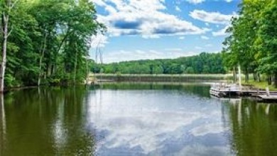 HUNTERS AND FISHERMANS DREAM! 80 ACRES! 7.5 Acre Stocked Lake! - photo 4