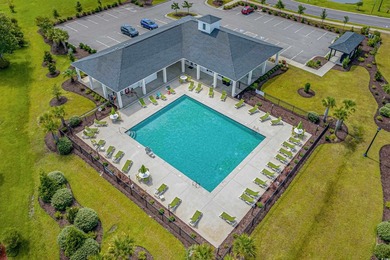 Welcome to the Georgetown model in the sought-after Belle Mer - photo 25