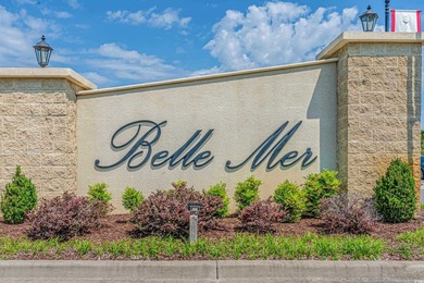 Welcome to the Georgetown model in the sought-after Belle Mer - photo 33