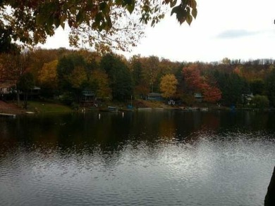 Lake Lot For Sale in Bath, New York