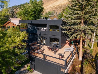 Big Wood River Townhome/Townhouse For Sale in Ketchum Idaho
