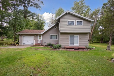 St. Joseph River - St. Joseph County Home For Sale in Constantine Michigan