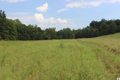 (private lake, pond, creek) Acreage For Sale in Kuttawa Kentucky