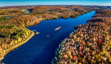 Introducing Little River Lake Forest, a remarkable 3,190-acre - photo 11