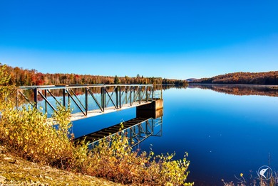 Introducing Little River Lake Forest, a remarkable 3,190-acre - photo 15