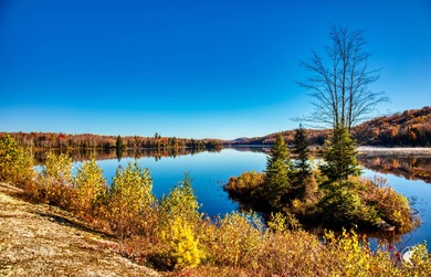 Introducing Little River Lake Forest, a remarkable 3,190-acre - photo 16