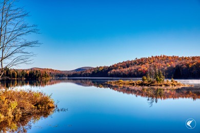 Introducing Little River Lake Forest, a remarkable 3,190-acre - photo 17