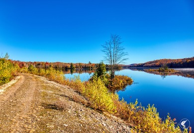 Introducing Little River Lake Forest, a remarkable 3,190-acre - photo 18