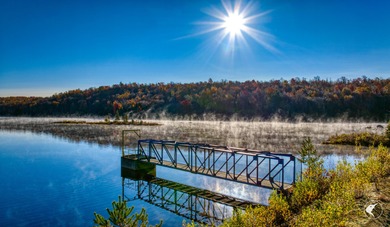 Introducing Little River Lake Forest, a remarkable 3,190-acre - photo 19