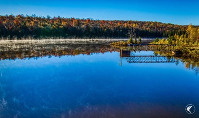 Introducing Little River Lake Forest, a remarkable 3,190-acre - photo 20