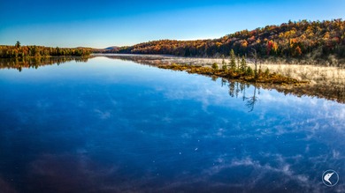 Introducing Little River Lake Forest, a remarkable 3,190-acre - photo 21