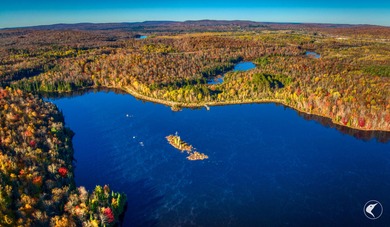 Introducing Little River Lake Forest, a remarkable 3,190-acre - photo 23