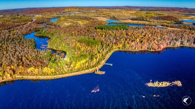 Introducing Little River Lake Forest, a remarkable 3,190-acre - photo 24
