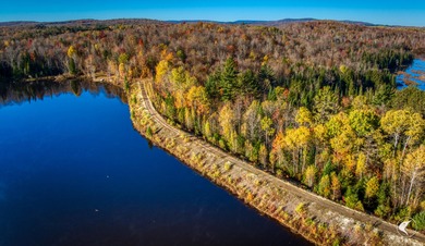 Introducing Little River Lake Forest, a remarkable 3,190-acre - photo 25