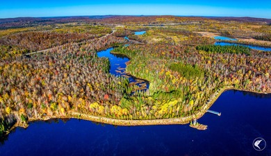 Introducing Little River Lake Forest, a remarkable 3,190-acre - photo 27