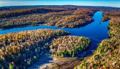 Introducing Little River Lake Forest, a remarkable 3,190-acre - photo 28