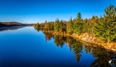 Introducing Little River Lake Forest, a remarkable 3,190-acre - photo 32