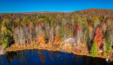 Introducing Little River Lake Forest, a remarkable 3,190-acre - photo 34