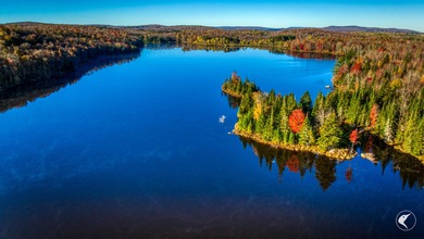Introducing Little River Lake Forest, a remarkable 3,190-acre - photo 37