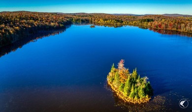 Introducing Little River Lake Forest, a remarkable 3,190-acre - photo 38