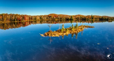 Introducing Little River Lake Forest, a remarkable 3,190-acre - photo 39
