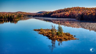 Introducing Little River Lake Forest, a remarkable 3,190-acre - photo 40