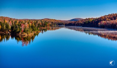 Introducing Little River Lake Forest, a remarkable 3,190-acre - photo 41