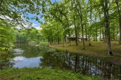 HUNTERS AND FISHERMANS DREAM! 80 ACRES! 7.5 Acre Stocked Lake! - photo 3