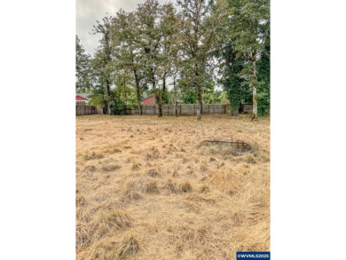 Santiam River - Linn County Lot For Sale in Sweet Home Oregon