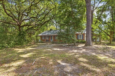 Lowcountry Sanctuary with Modern Sophistication: Your Private 1 - photo 3