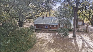 Lowcountry Sanctuary with Modern Sophistication: Your Private 1 - photo 4