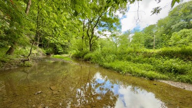 Located on quiet and scenic Long Run Road in Athens County, this - photo 4