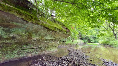 Located on quiet and scenic Long Run Road in Athens County, this - photo 5
