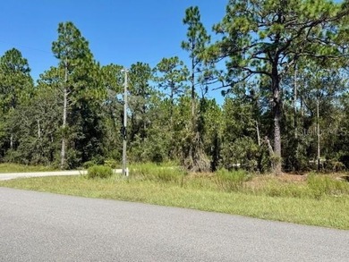 Bonable Lake Lot For Sale in Dunnellon Florida