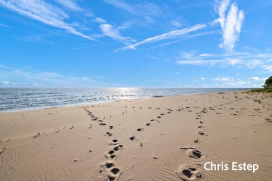 Exceptional 193 feet of Lake Michigan frontage on a scenic low - photo 8