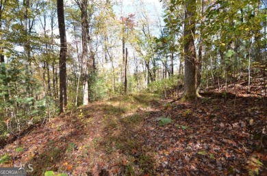 Lake Lot For Sale in Rabun Gap, Georgia