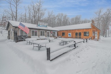 Lake Commercial For Sale in Roscommon, Michigan