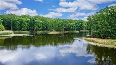 HUNTERS AND FISHERMANS DREAM! 80 ACRES! 7.5 Acre Stocked Lake! - photo 2
