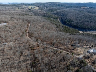 Discover 7.31 wooded acres in the sought-after Webb's Landing 3 - photo 3