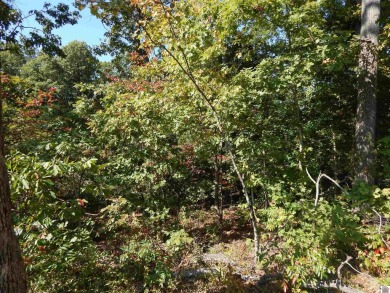 Lake Lot For Sale in Gilbertsville, Kentucky