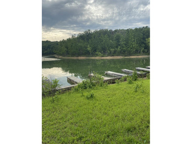 Lakefront Cabin & Lot on Beautiful Nolin Lake - Edmonson County - photo 11