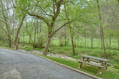 Center Hill Lake LOCATION! Enjoy creekside living with this - photo 15
