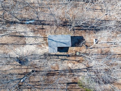 Discover 3.23 wooded acres in the sought-after Webb's Landing 3 - photo 3