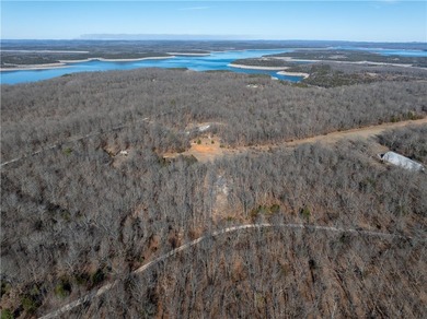 Discover 3.23 wooded acres in the sought-after Webb's Landing 3 - photo 6