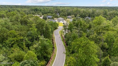 *MOVE IN READY* New construction. Welcome to Rutledge! This - photo 31
