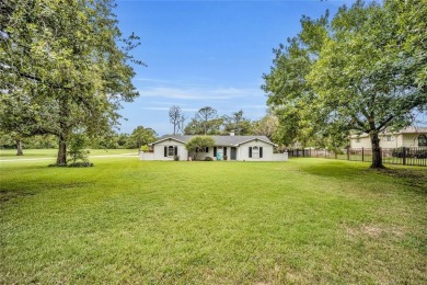 Lake Home For Sale in Tool, Texas