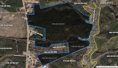Lake Lot For Sale in Waterloo, South Carolina