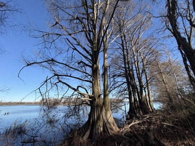 (private lake, pond, creek) Lot For Sale in Hughes Arkansas