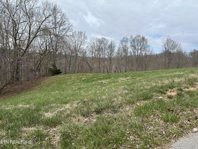 Norris Lake Acreage For Sale in New Tazewell Tennessee