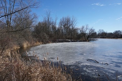 Own your private slice of paradise on Griswold Lake in Holiday - photo 2